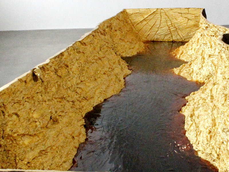 ZƷMatrice di branzoDzӰУ